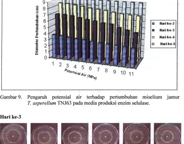 Gambar 9. Pengaruh potensial air terhadap pertumbuhan miselium jamur  T. asperellum TNJ63 pada media produksi enzim selulase