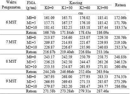 Tabel 1. Rataan  tinggi tanaman sorgum terhadap pemberian FMA dan kascing umur 6,7,8,dan 9 MST