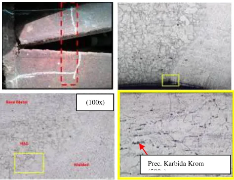 Gambar 9. Pre-existing Crack Patahan Longitudinal 