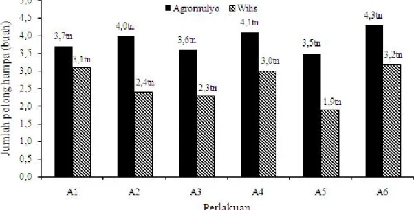 Gambar  5.  Jumlah  polong  hampa  yang  terbentuk pada  varietas Argomulyo  dan Wilis  setelah  diaplikasi  dengan cendawan  L
