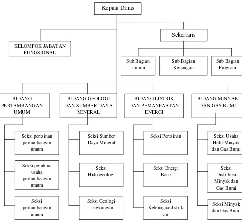 Gambar 2.2 Struktur Organisasi Dinas Pertambangan dan Energi Provinsi               