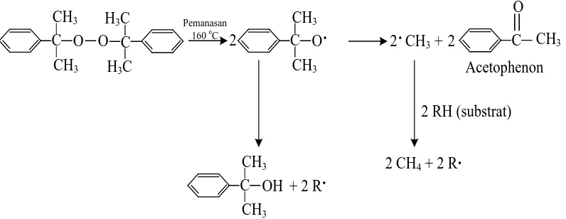 Gambar.2.3. Mekanisme dekomposisi dikumil peroksida (DCP). 