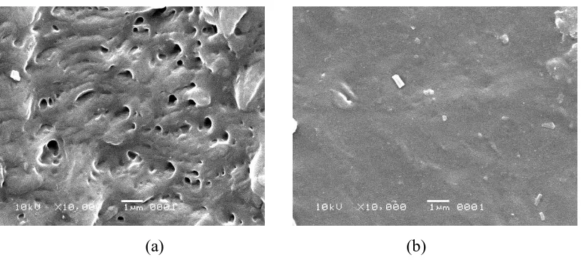 Gambar 4.1. (a) Data hasil pengujian Scanning Electron Microscopy (SEM) pada 