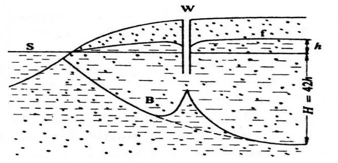 Gambar 2.3. Hukum Herzberg  pada air tanah tawar dan asin dekat garis pantai. 