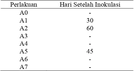 Tabel 1 : Periode Inkubasi F. oxysporum pada Tanaman Bawang Merah   