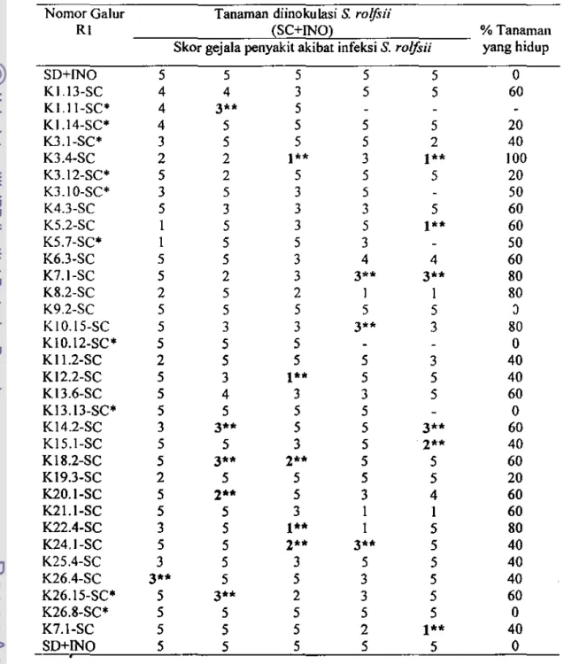 Tabel  17.  Respons  masing-masing  galur  Rl  terhadap  inokulasi  S.  rolfsii  berdasarkan  skor gejala penyakit  yang  ditimbulkan pada  zuriat   R2-nya dibandingkan dengan kacang tanah  CV