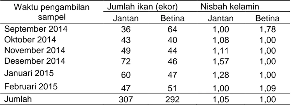 Tabel  9.  Distribusi  jumlah  (ekor)  dan  nisbah  kelamin  ikan  pirik  (Lagusia  micracanthus  Bleeker,  1860)  yang  diperoleh  selama  penelitian  pada  setiap  waktu  pengambilan  sampel  di  Sungai  Pattunuang,  Kabupaten Maros 