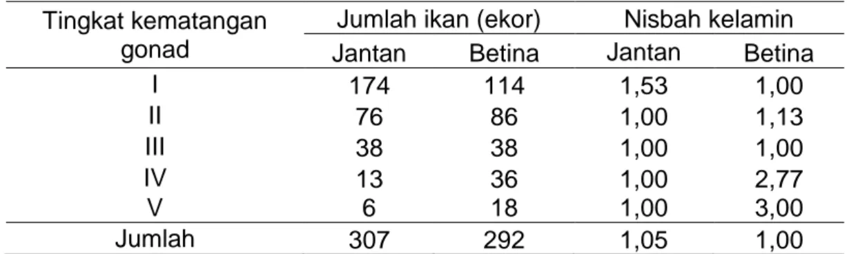 Tabel  12.  Distribusi  jumlah  (ekor)  dan  nisbah  kelamin  ikan  pirik  (Lagusia  micracanthus  Bleeker,  1860)  yang  diperoleh  selama  penelitian  pada  setiap  tingkat  kematangan  gonad  di  Sungai  Sanrego,  Kabupaten Bone 