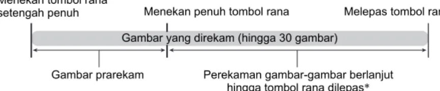 Gambar yang direkam (hingga 30 gambar)