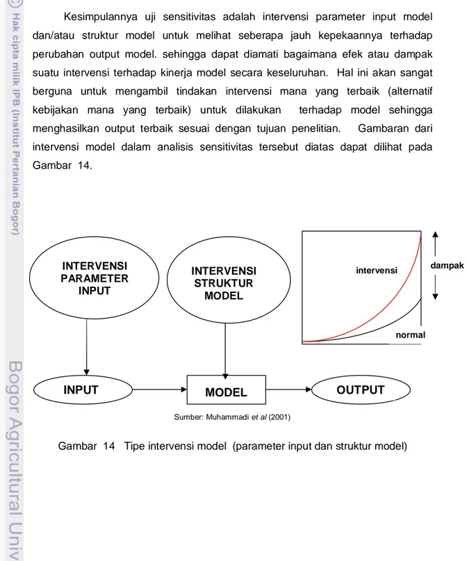 Gambar  14   Tipe intervensi model  (parameter input dan struktur model) 