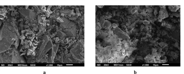 Gambar 4. Gambar SEM sampel magnet bonded Pr-Fe-B dengan komposisi 2%wt binder  poliester dan silicone rubber