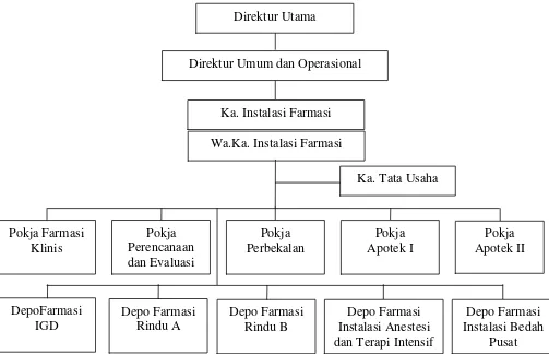 Gambar 3.1  Struktur Organisasi Instalasi Farmasi RSUP H. Adam Malik 