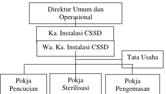 Gambar 3.2 Struktur Organisasi Instalasi Central Sterile Supply Department  (CSSD) RSUP H