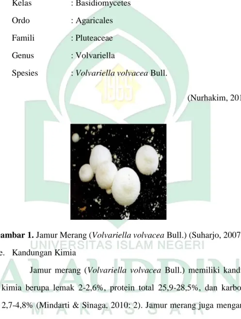 Gambar 1. Jamur Merang (Volvariella volvacea Bull.) (Suharjo, 2007: 11). 