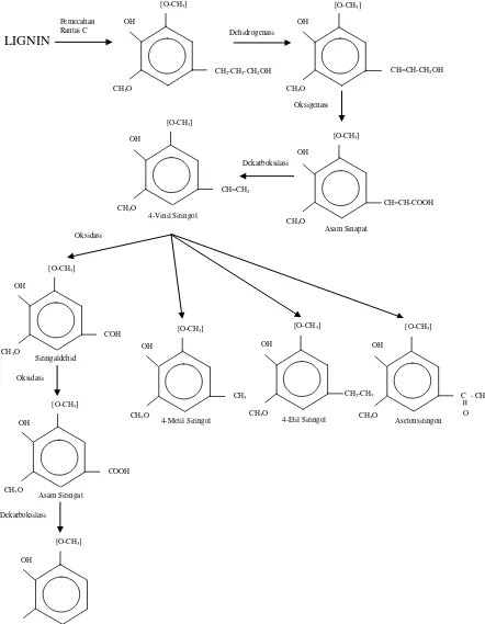 Gambar 2.4. Mekanisme Pirolisis Lignin dari Kayu Keras. (Ratna, 2008) 