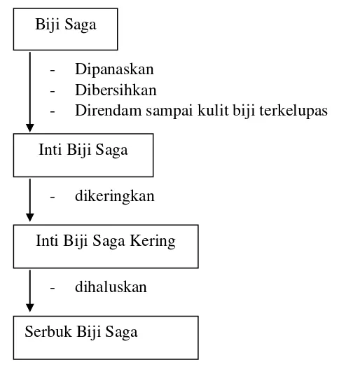 Gambar 3.2  Bagan Alir Tahap Preparasi 