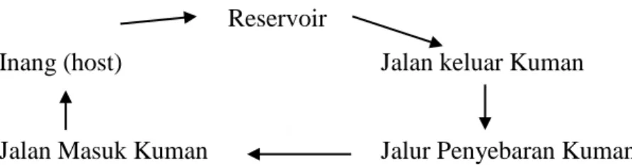 Gambar 2.1 Rantai proses infeksi  alimul (2009) 