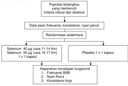 Gambar 3.1 Alur Penelitian 
