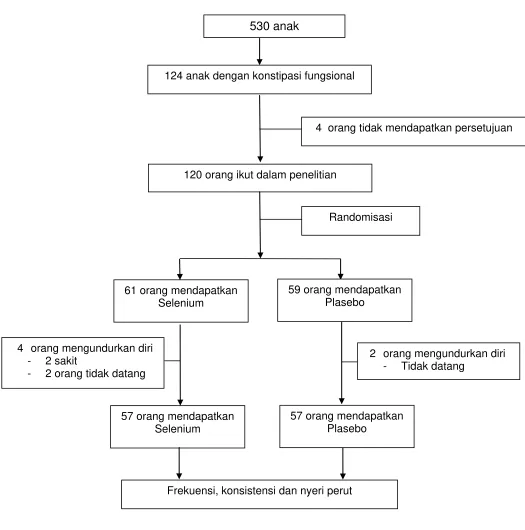 Gambar 4.1 CONSORT Diagram 