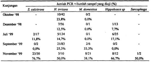 Tabel 1. Nasil pengujian DNA T. evansi dengan uji polymerase chain reaction (PCR) pada sampel darah lalat yang tertangkap di kabupaten Sumbawa