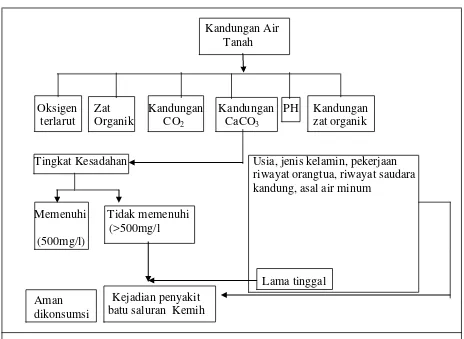 Gambar 2.3 Kerangka Teori (Effendi, 2003) 