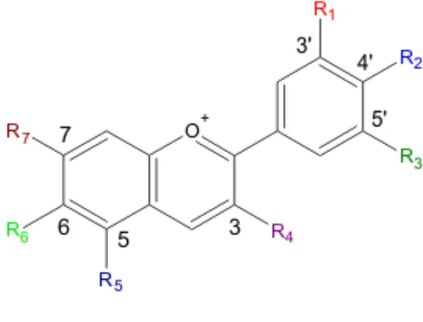 Gambar 6. Struktur kimia antosianin  (Sumber : Anonim, 2014) 