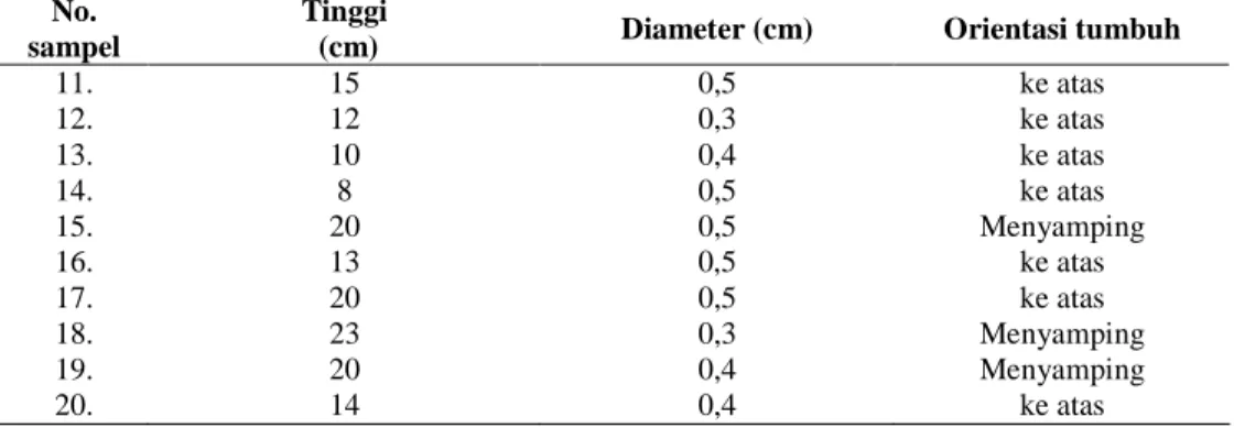 Tabel  2    Kondisi  sampel  anakan  alam  untuk  analisis  RAPD  di  Gunung  Kerinci 