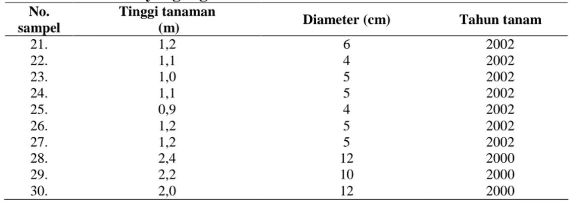 Tabel  3    Kondisi  tanaman  Cemara  sumatra  hasil  perbanyakan  vegetatif  di  Cibodas yang digunakan untuk analisis RAPD 