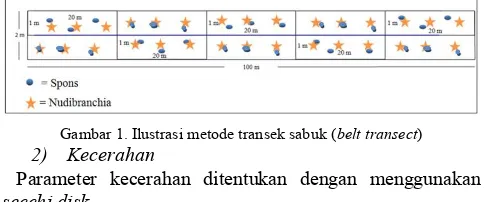 Gambar 1. Ilustrasi metode transek sabuk (belt transect) 