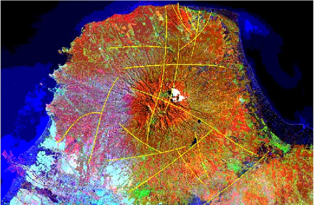 Gambar 8.  Image gabungan antara citra Landsat 7 ETM+ multi band dan penafsiran patahan di kawasan semenanjung Muria.