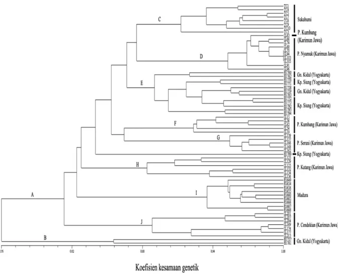 Gambar  2. Dendogram kesamaan genetik antara 65 aksesi Tacca leontopetaloides berdasarkan koefisien kesa- kesa-maan Jaccard dan algoritma UPGMA