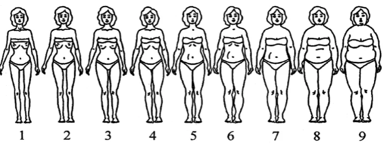 Gambar 1. Contour Drawing Rating Scale.8 