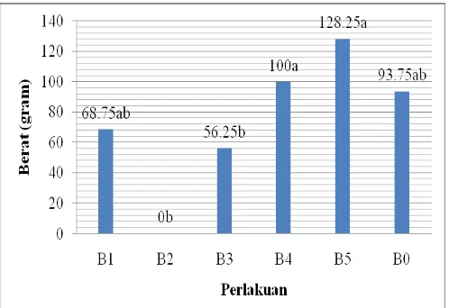 Gambar 4. Grafik rata-rata umur panen jamur tiram putih pada berbagai  perlakuan. 