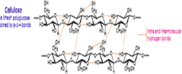 Gambar 2. Gugusan rantai cellulose 