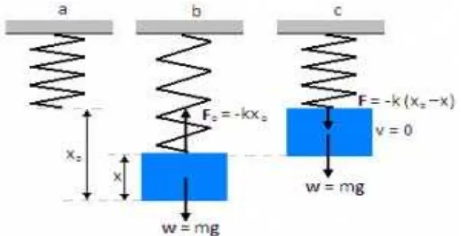 Gambar 2.2 merupakan gaya pemulih yang bekerja pada suatu benda yang 