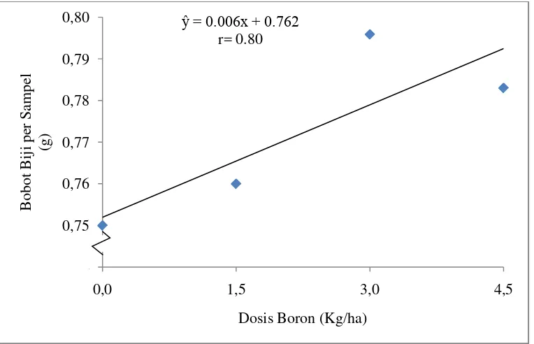 Grafik hubungan pemberian beberapa dosis pupuk Boron terhadap bobot biji per 