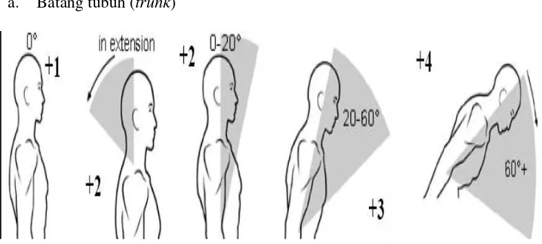 Gambar 3.1 Postur Batang Tubuh (Trunk) 