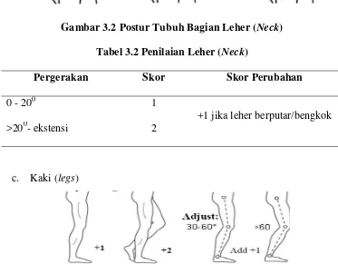 Tabel 3.2 Penilaian Leher (Neck) 