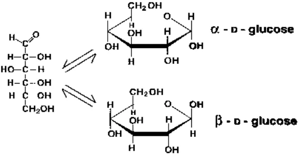 Gambar 2.5 Struktur Glukosa 