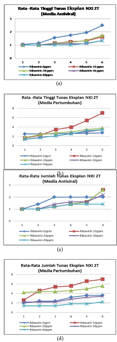 Gambar 2. Grafik pertumbuhan eksplan tebu (S. officinarum) varietas NXI_2T.  