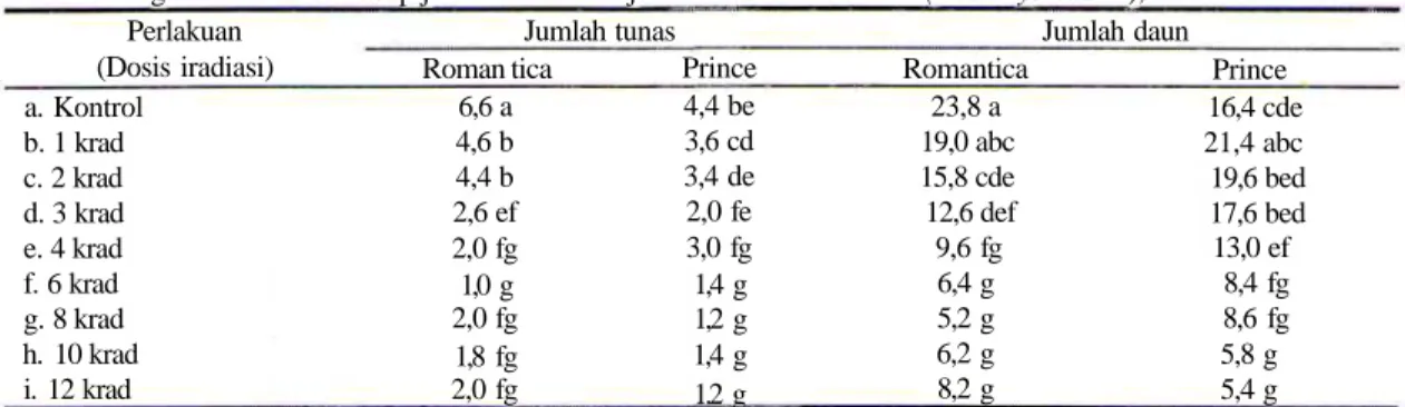Tabel 1. Pengaruh iradiasi terhadap jumlah tunas dan jumlah daun mawar mini (Rosa hybrida L.), umur 4 bulan.