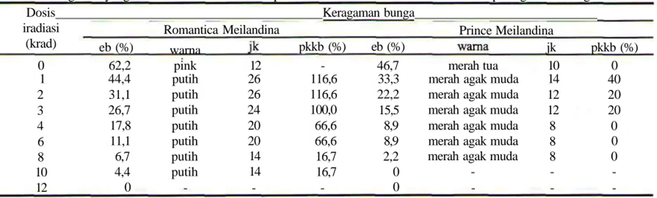 Tabel 2. Keragaman yang ditimbulkan karena iradiasi pada kultur in-vitro 2 varietas mawar mini pada generasi ketiga Dosis Keragaman bunga