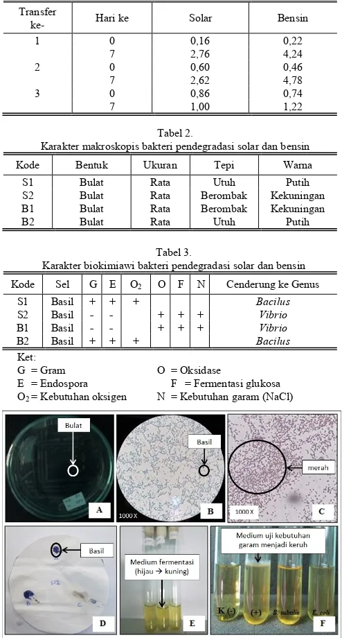 Tabel 3. Karakter biokimiawi bakteri pendegradasi solar dan bensin 