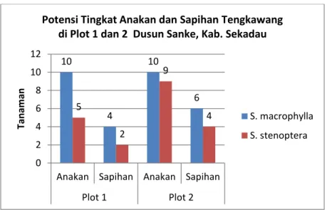 Grafik 4. Potensi Anakan dan Sapihan di plot 1dan 2 Dusun Sanke  Berdasarkan  hasil  pengamatan 