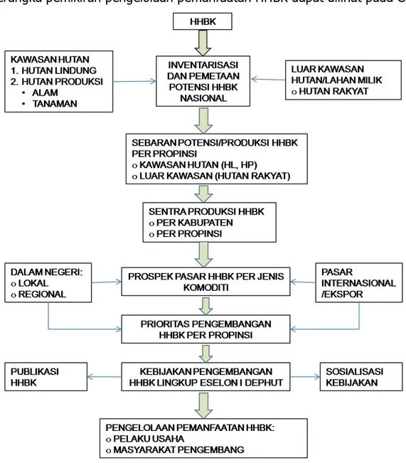 Gambar 2. Diagram Pengembangan Pemanfaatan HHBK  C.   Program Pengembangan HHBK 