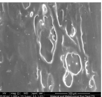 Gambar 9 menunjukkan Serat Dendrocalamus Aspermungkin terisi udara dimungkinkan porositas komposit relatif besar, sehingga mempunyaai koefisien absorb yang lebih perlakuan alkali (belum dikenai perlakuan kimia) dengan perbesaran 1000x, menunjukkan serat ya