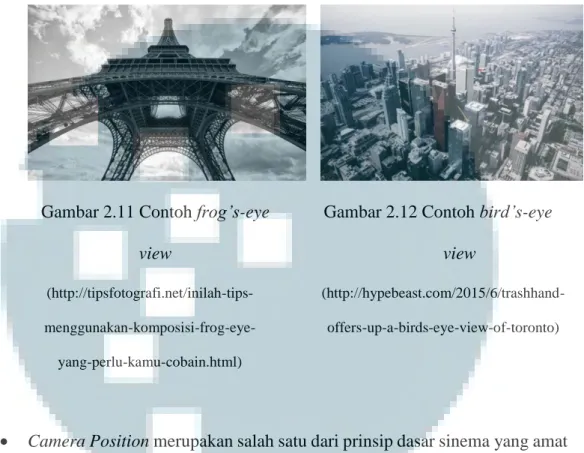 Gambar 2.11 Contoh frog’s-eye  view 