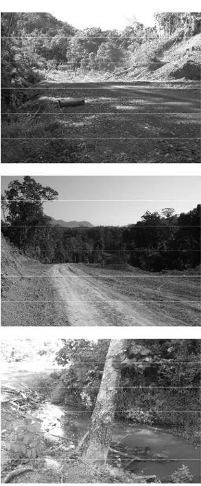 Foto 1. Pembukaan jalur jalan yang berada di hutan sekunder
