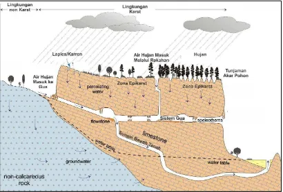 Gambar 3. Ilustrasi zone epikarst sebagai tandon air karst, sampai  membentuk stalaktik gua dan menjadi sungai bawah tanah (menurut Ford dan William, 1995 dalam Haryono dan Adjie, -) 