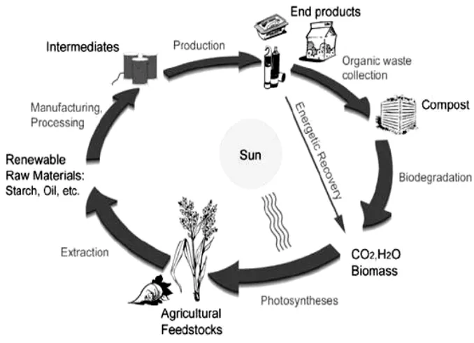 Gambar 2.1 Siklus Produksi dan Degradasi Polimer Biodegradabel [25] 